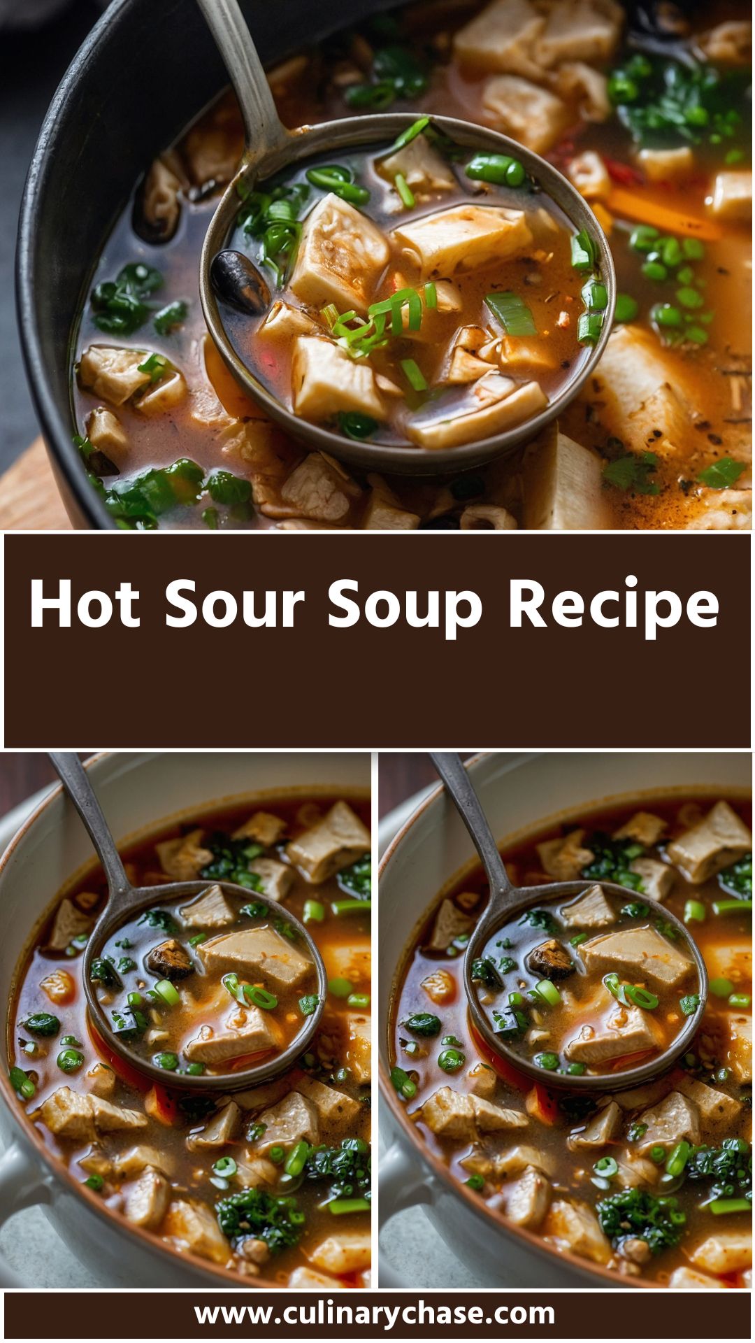 Hot Sour Soup Recipe – Culinary Chase