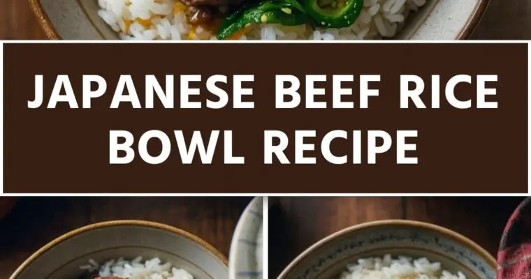 Japanese Beef Rice Bowl – Culinary Chase